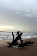Casamance 41